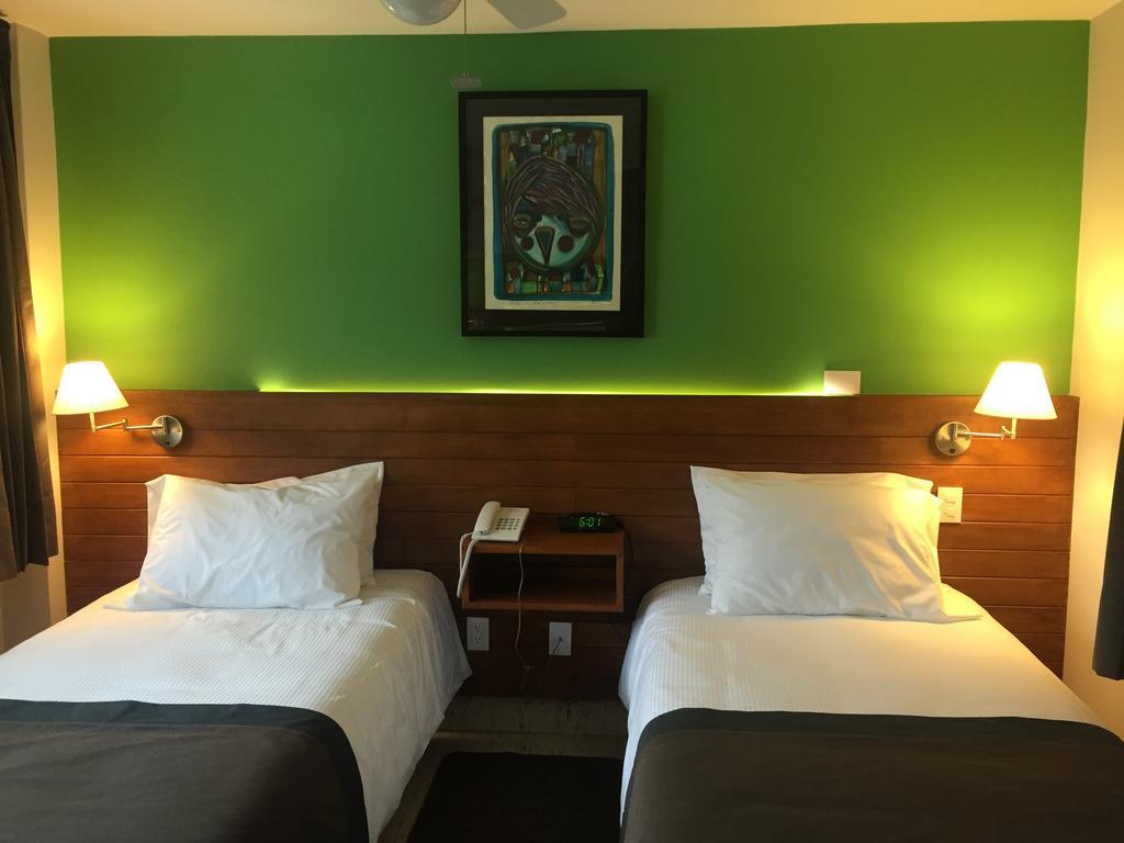 Araucaria Hotel Boutique バジェ・デ・ブラボ 部屋 写真