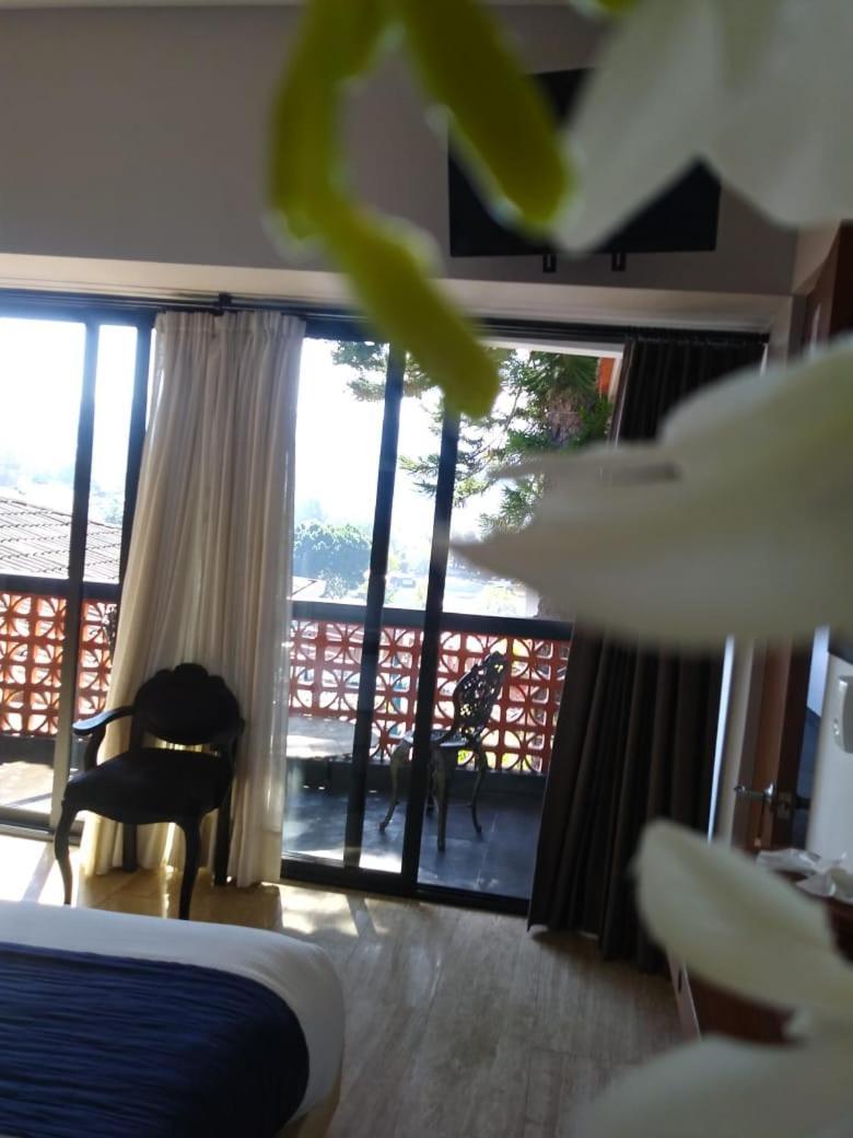 Araucaria Hotel Boutique バジェ・デ・ブラボ エクステリア 写真