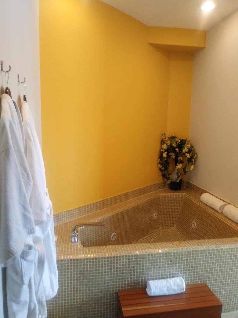 Araucaria Hotel Boutique バジェ・デ・ブラボ エクステリア 写真