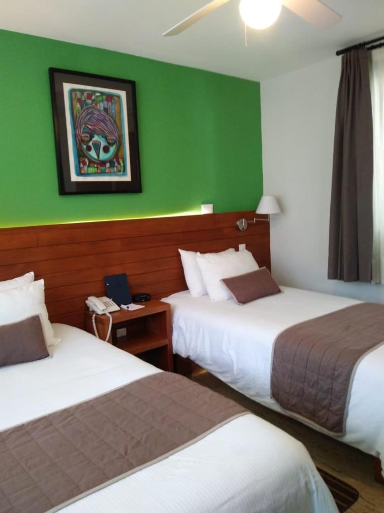 Araucaria Hotel Boutique バジェ・デ・ブラボ エクステリア 写真