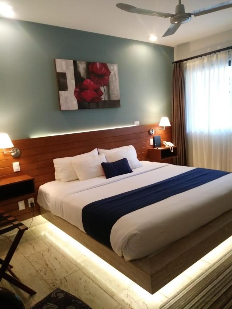 Araucaria Hotel Boutique バジェ・デ・ブラボ エクステリア 写真